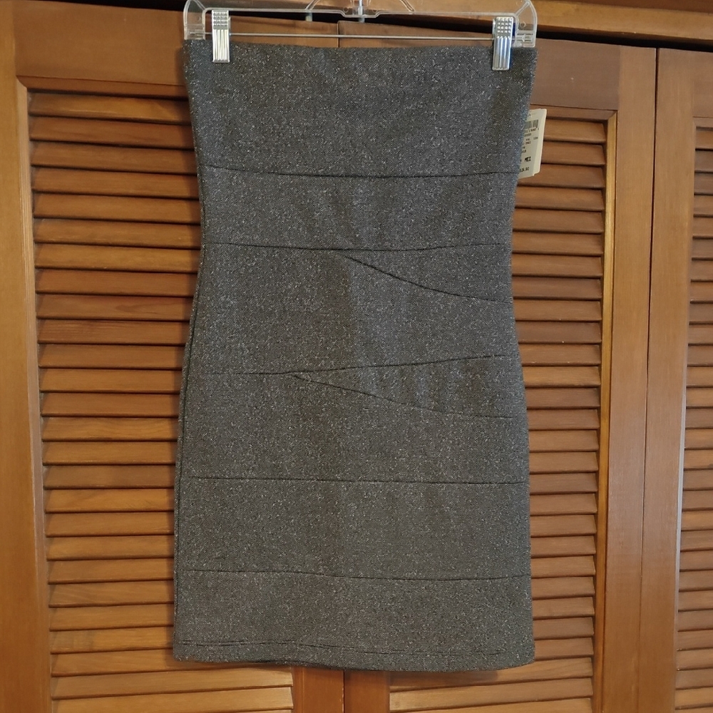 NWT Windsor Shimmering Silver Strapless Dress